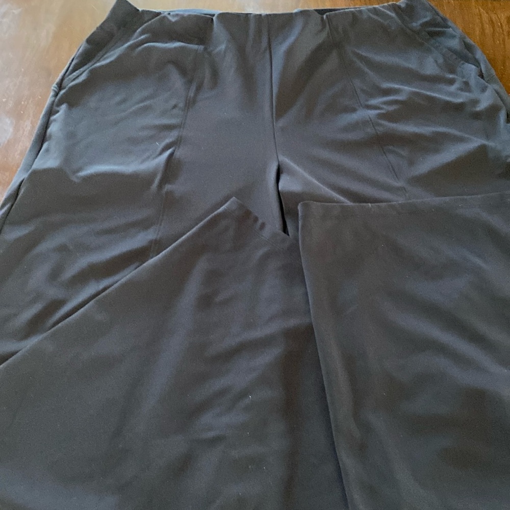 Woman’s powersoft Godry Pant size 2x